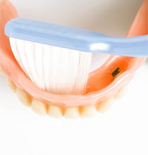 Load image into Gallery viewer, Tepe Denture Toothbrush